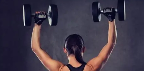 肩部訓練動作 肩部訓練動作