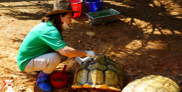 象龜互動體驗 象龜互動體驗