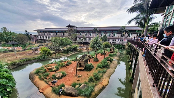 象龜互動體驗 象龜互動體驗