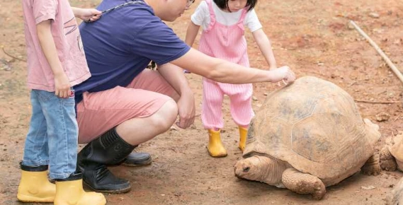 台灣動物園體驗 台灣動物園體驗