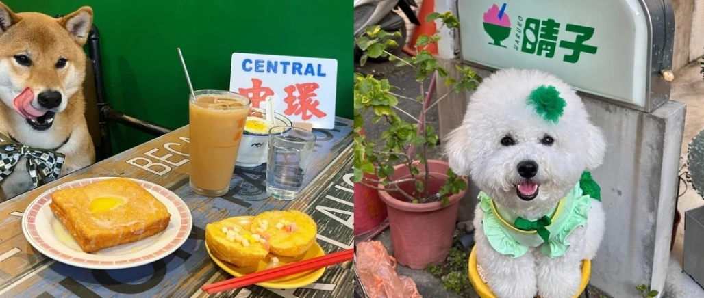 寵物友善住宿推薦