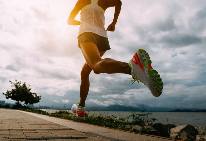 膽固醇運動推薦