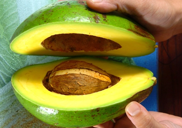 切開酪梨如何保存