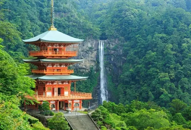 和歌山市景點全攻略：熊野古道、和歌山城與黑潮市場深度遊