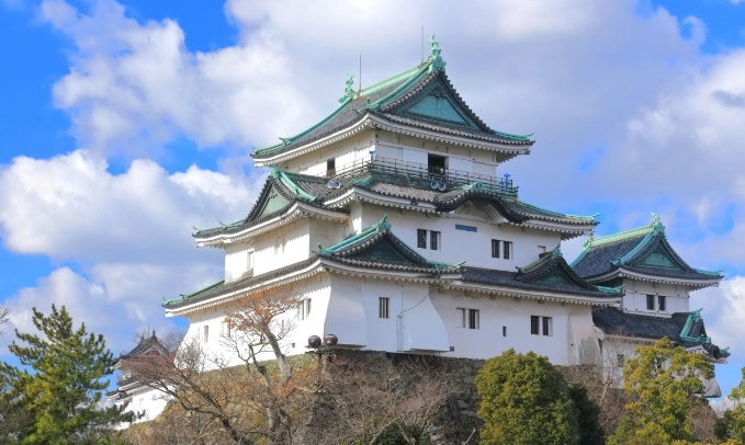 黑潮市場 必吃 黑潮市場 必吃