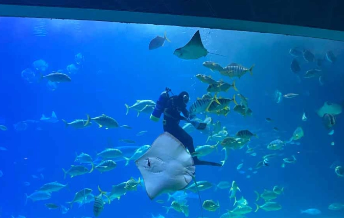 屏東海生館一日遊
