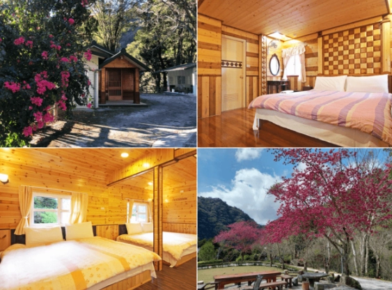 拉拉山民宿推薦 拉拉山民宿推薦