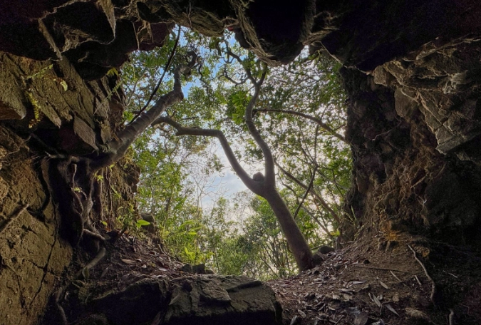 西高山登山步道