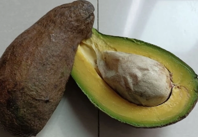 酪梨變黑
