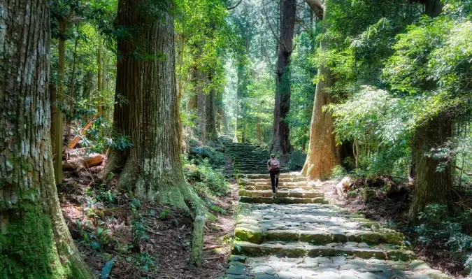 熊野古道 和歌山 熊野古道 和歌山