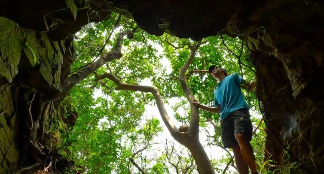 西高山登山步道