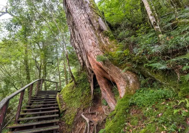拉拉山民宿推薦