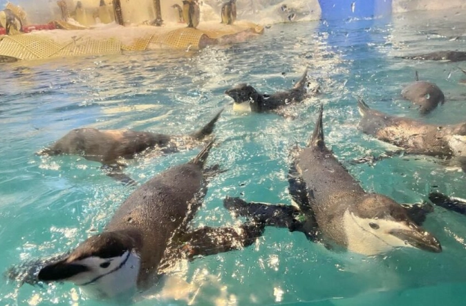 屏東海生館 一日遊 行程