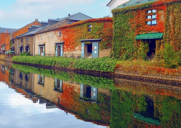 北海道不開車旅遊