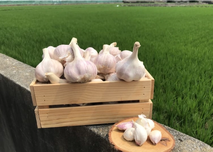 蒜頭保存方法 蒜頭保存方法