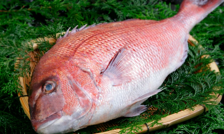 魚冷藏保存時間 魚冷藏保存時間