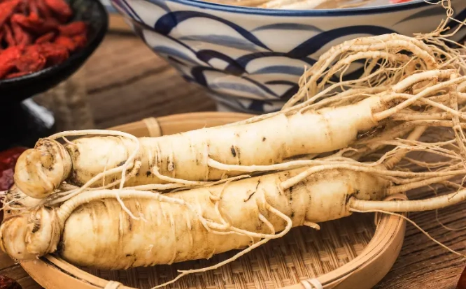人蔘食譜大全：從養生湯品到家常料理的完整指南