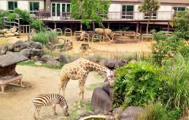 六福村動物園