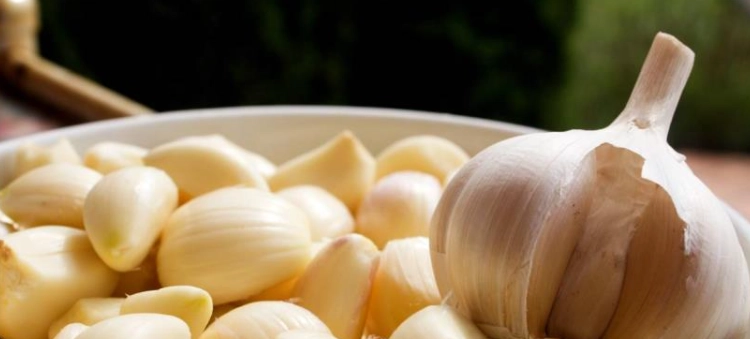 蒜頭創意料理 蒜頭創意料理