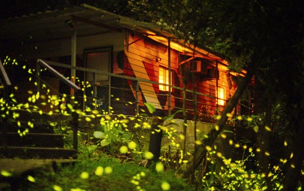 台灣螢火蟲景點