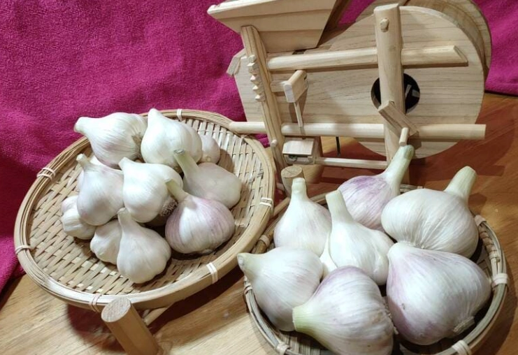 蒜頭解凍方法