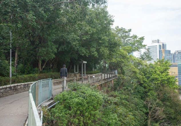 合和中心去寶雲道交通全攻略：步行、巴士、小巴路線解析