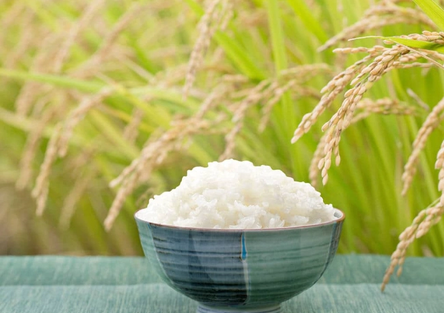 米蟲防治 米蟲防治