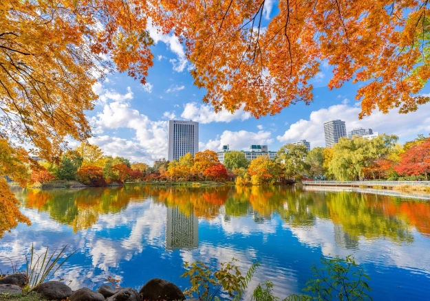 北海道秋天自由行不開車攻略：紅葉、美食與交通全指南