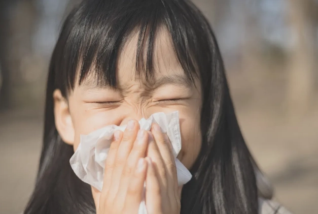 感冒流鼻水 湯品