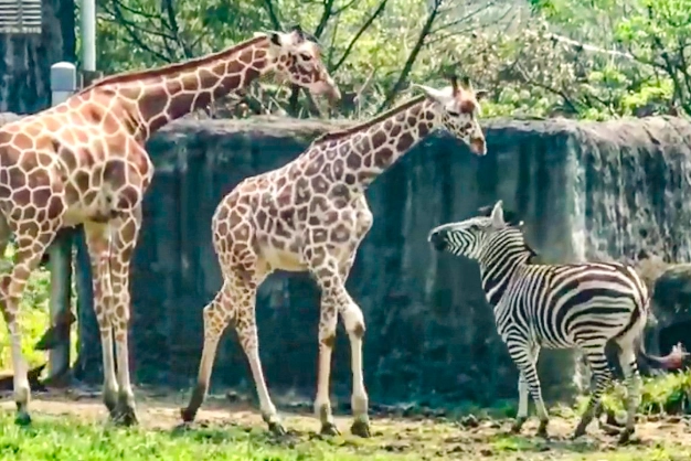 無障礙旅遊台北