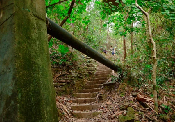 灣仔峽公園風景