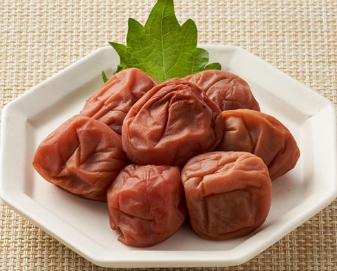 和歌山景點推薦