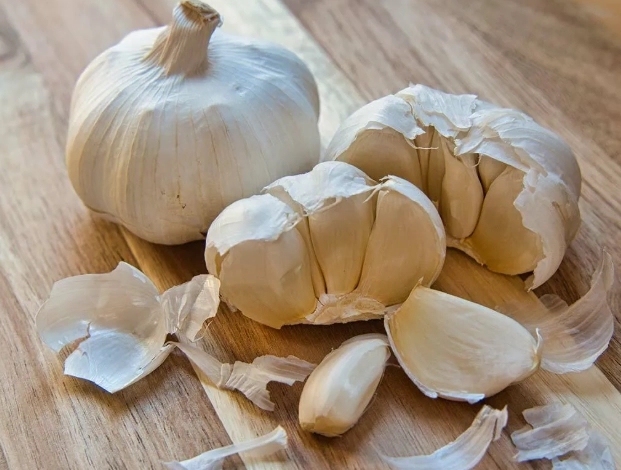 蒜頭保存 蒜頭保存