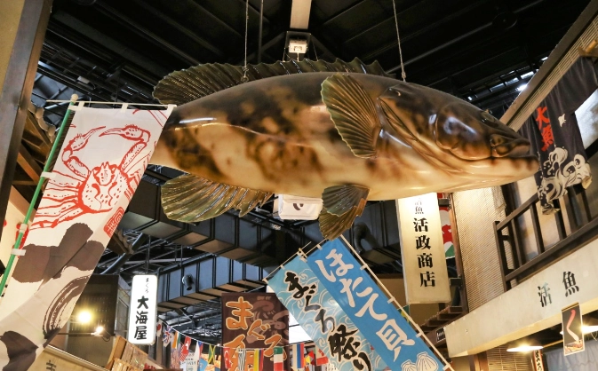 大阪到和歌山交通