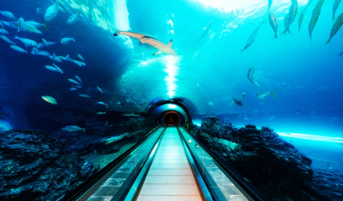 屏東海生館 一日遊 行程