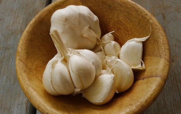 蒜頭乾掉 蒜頭乾掉