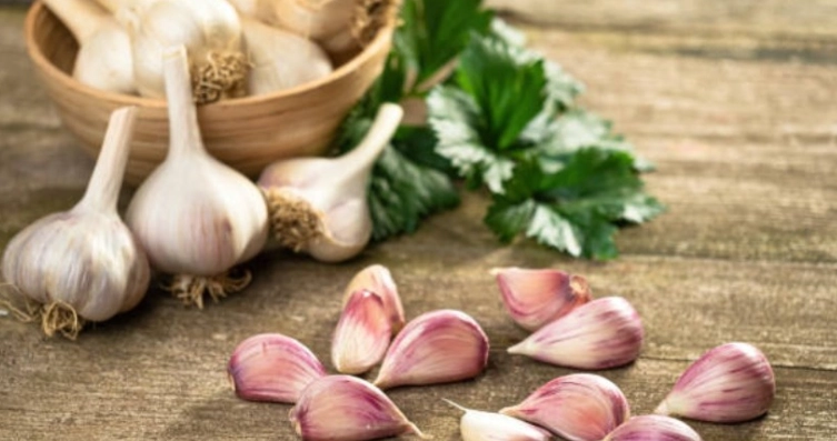 蒜頭創意料理 蒜頭創意料理