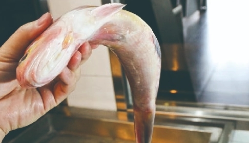 新鮮魚保存方法