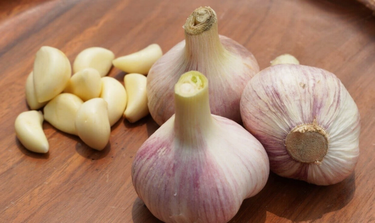 蒜頭保存 蒜頭保存