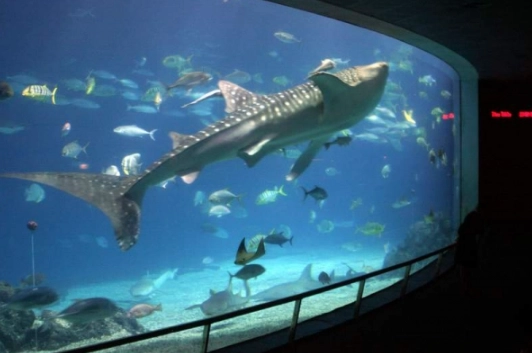 屏東海生館 門票