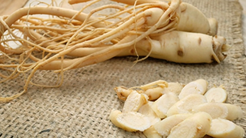 人參功效 人參功效