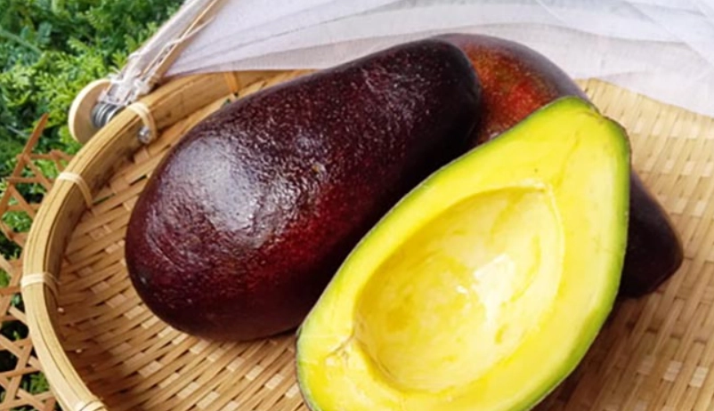 酪梨副作用 酪梨副作用