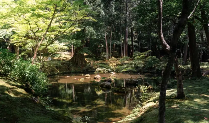 京都自由行攻略 京都自由行攻略