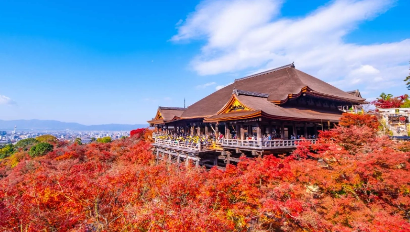 京都文化體驗 京都文化體驗