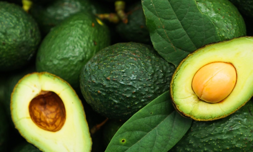 高膽固醇 水果 高膽固醇 水果