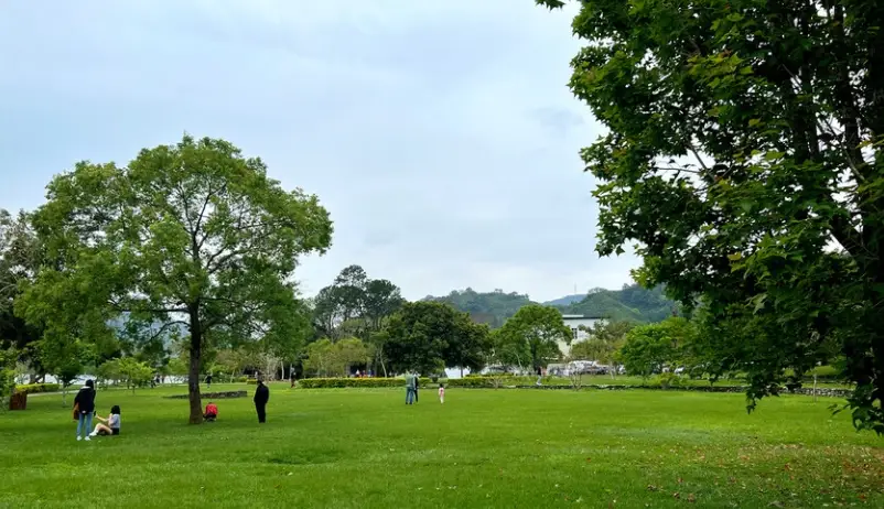 石門水庫薑母島 石門水庫薑母島