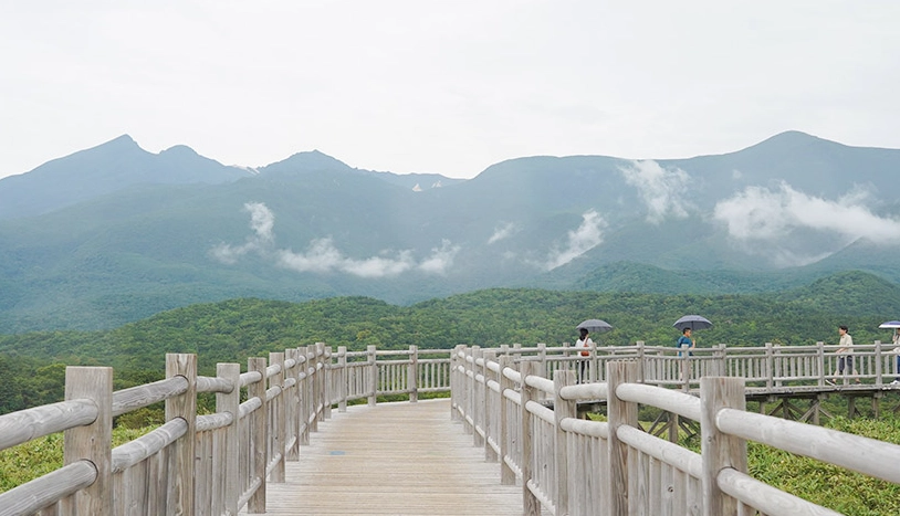 網走流冰觀光船