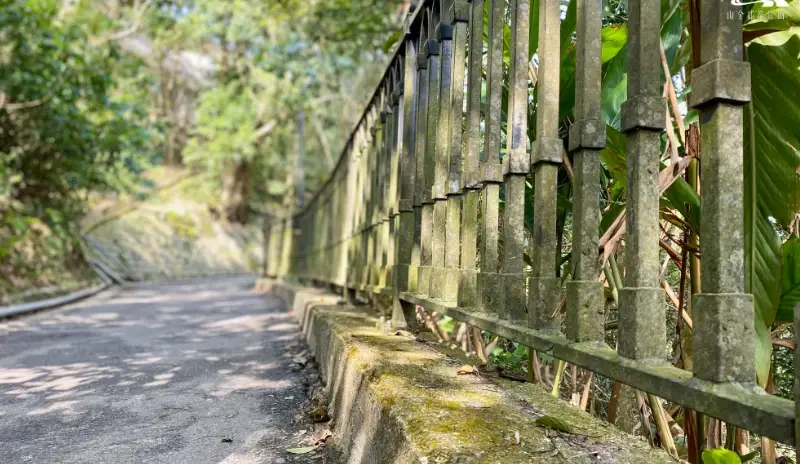 山頂纜車 山頂纜車