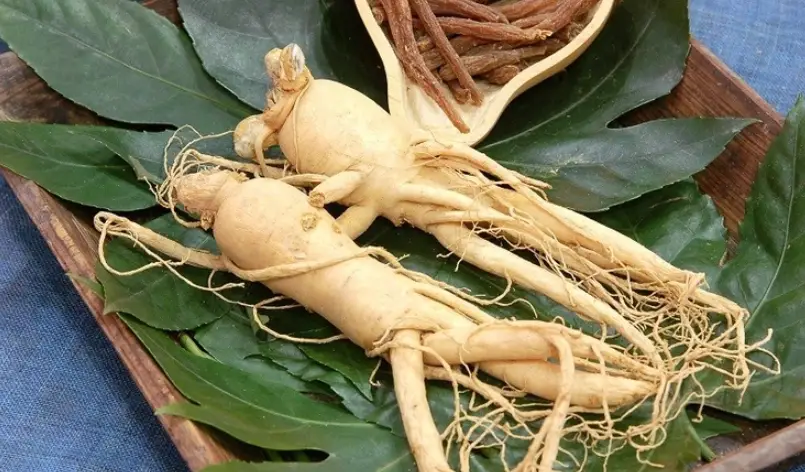 高麗人參副作用