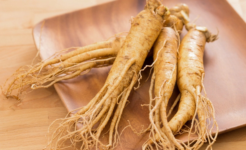 高麗人參副作用